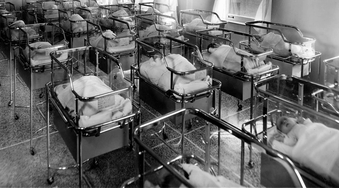 Elizabeth Hamilton Black Market Babies
