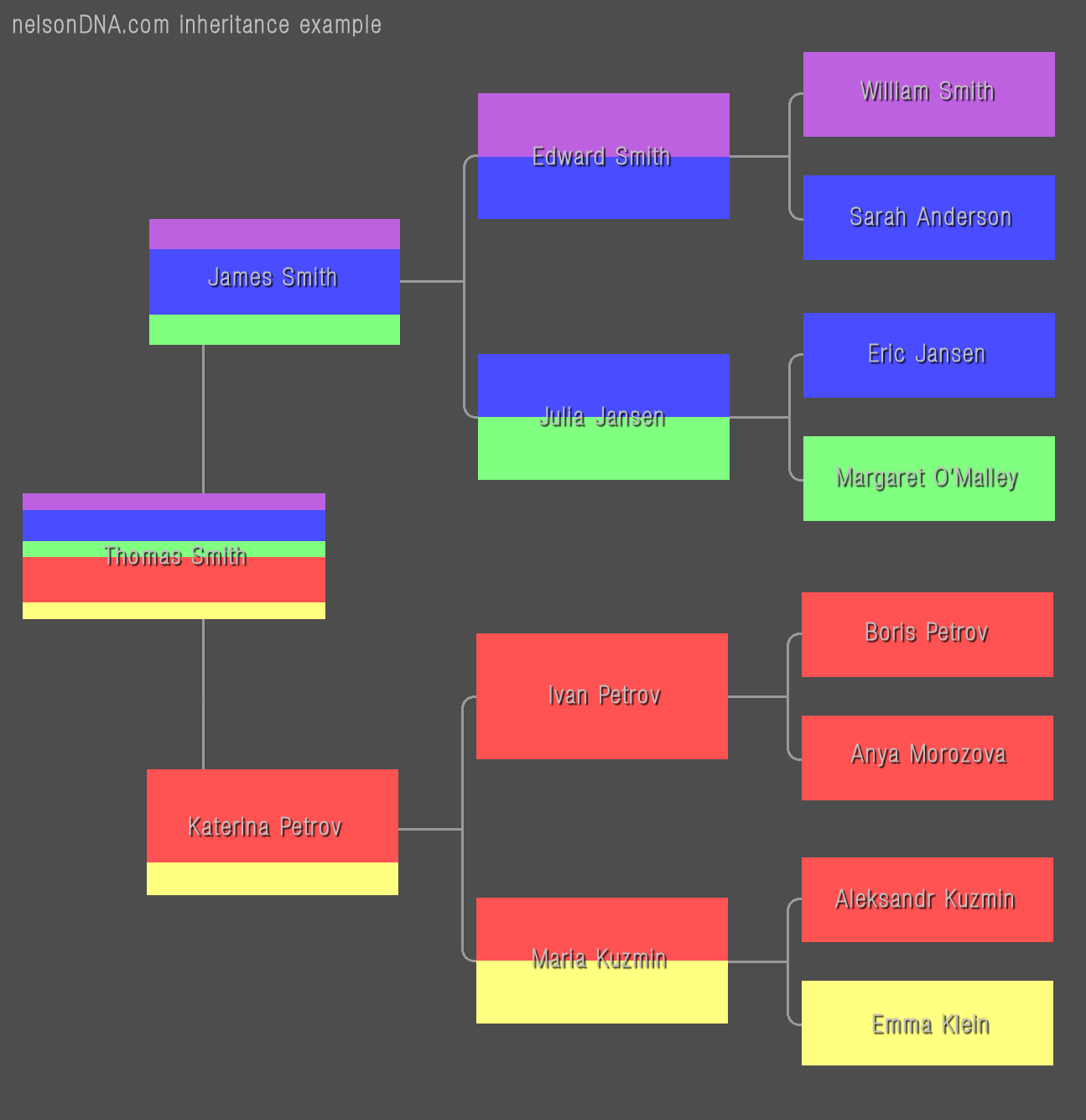 DNA Inheritance Example