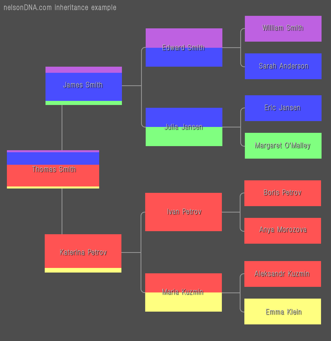 DNA Inheritance Example 2