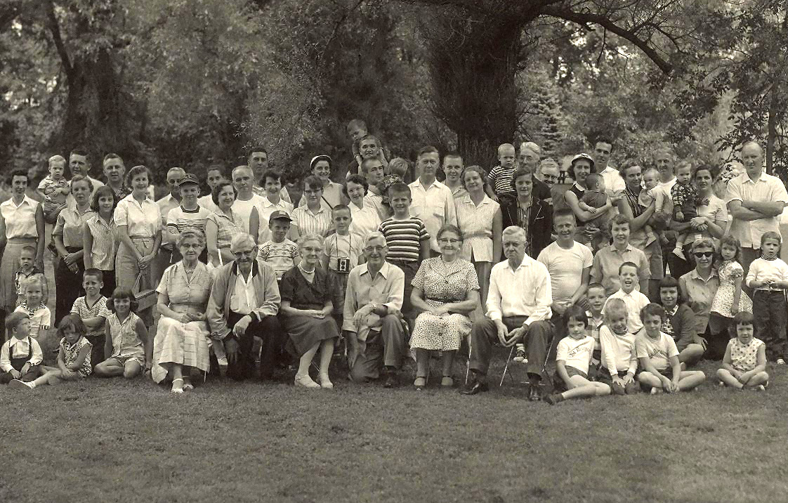 Learn About Genetic Relationships