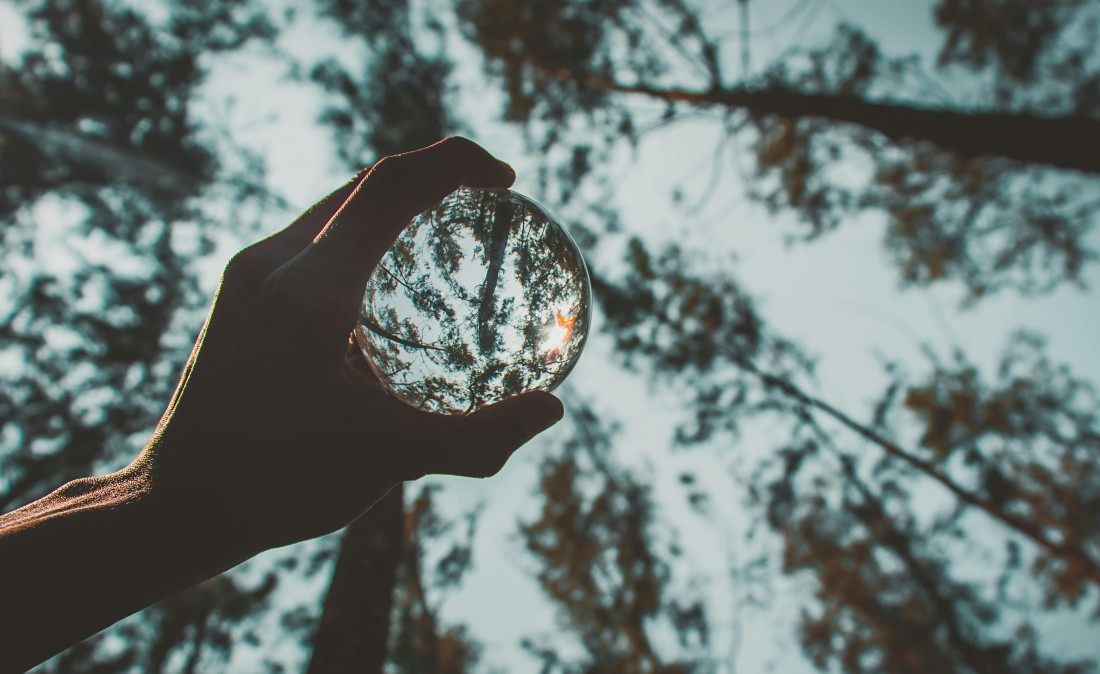Identify relationships by looking at family trees.