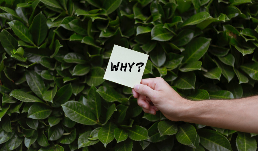 Learn what a genealogist can do for you.